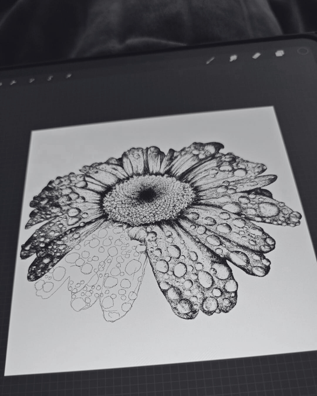 schwarz weiß Bild eines Tablets, das eine noch unvollständige Zeichnung einer Margerite zeigt. Entstehungsprozess eines Tattoo-Entwurfes